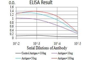 Black line: Control Antigen (100 ng);Purple line: Antigen (10ng); Blue line: Antigen (50 ng); Red line:Antigen (100 ng)