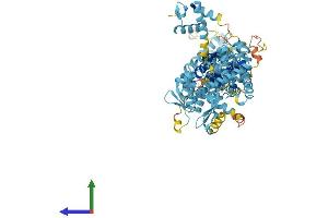 AlphaFold protein structure predicition of Human Recombinant ANAPC2 Protein, UniprotID Q9UJX6