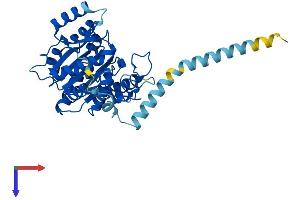 AlphaFold protein structure predicition of Mouse Recombinant B3gnt5 Protein, UniprotID Q8BGY6