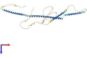 AlphaFold protein structure predicition of Mouse Recombinant Azi2 Protein, UniprotID Q9QYP6