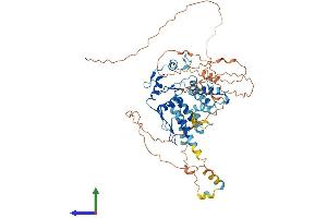 AlphaFold protein structure predicition of Human Recombinant ZNF394 Protein, UniprotID Q53GI3