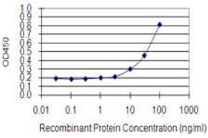 Detection limit for recombinant GST tagged FCRLB is 3 ng/ml as a capture antibody. (FCRLB anticorps  (AA 89-174))