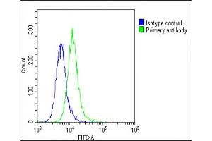 anti-Mediator Complex Subunit 14 (MED14) (AA 586-615) antibody
