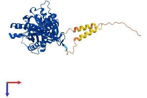 AlphaFold protein structure predicition of Mouse Recombinant Hyal4 Protein, UniprotID Q05A56