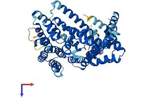 AlphaFold protein structure predicition of Mouse Recombinant Hhat Protein, UniprotID Q8BMT9