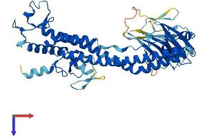 AlphaFold protein structure predicition of Human Recombinant TRIM51 Protein, UniprotID Q9BSJ1