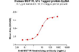 ELISA plate pre-coated by 2 μg/mL (100 μL/well) Human R Protein, hFc Tag (ABIN6964141, ABIN7042561 and ABIN7042562) can bind Anti-R Neutralizing antibody ABIN7478014 and ABIN7490967 in a linear range of 0.