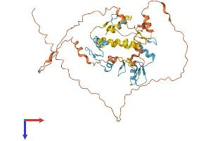 AlphaFold protein structure predicition of Human Recombinant ZNF641 Protein, UniprotID Q96N77