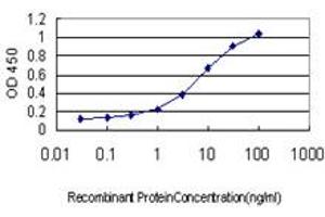 Detection limit for recombinant GST tagged HOXC8 is approximately 0.