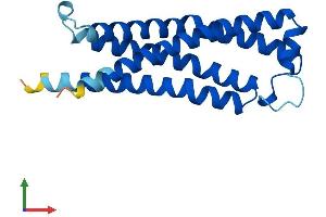 AlphaFold protein structure predicition of Human Recombinant TMEM205 Protein, UniprotID Q6UW68