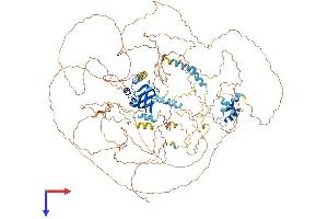 AlphaFold protein structure predicition of Human Recombinant MIS18BP1 Protein, UniprotID Q6P0N0