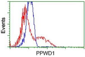HEK293T cells transfected with either RC204570 overexpress plasmid (Red) or empty vector control plasmid (Blue) were immunostained by anti-PPWD1 antibody (ABIN2453498), and then analyzed by flow cytometry. (PPWD1 anticorps)