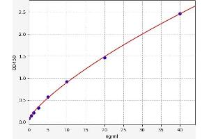Heat Shock Protein 27 (HSP27) ELISA Kit