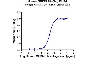 Immobilized Human GDF15, His Tag at 0. (GDF15 Protein (AA 197-308) (His tag))