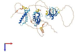AlphaFold protein structure predicition of Mouse Recombinant Sh2b3 Protein, UniprotID O09039