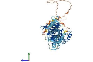 AlphaFold protein structure predicition of Mouse Recombinant Plk5 Protein, UniprotID Q4FZD7