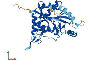 AlphaFold protein structure predicition of Human Recombinant MTAP Protein, UniprotID Q13126