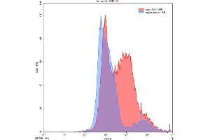 Detection of IL5 in 293F line transfected with target gene using Polyclonal Antibody to Interleukin 5 (IL5)