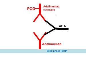 Image no. 2 for Adalimumab Antibody ELISA Kit (ABIN2862660) (Adalimumab Antibody Kit ELISA)