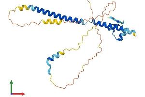 AlphaFold protein structure predicition of Human Recombinant SFR1 Protein, UniprotID Q86XK3