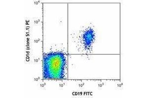 Flow Cytometry (FACS) image for anti-CD1d Molecule (CD1D) antibody (PE) (ABIN2662517) (CD1d anticorps  (PE))
