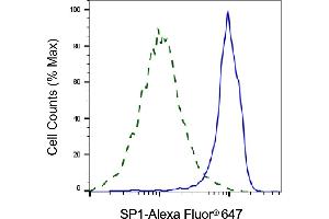 Validation of SP1 knockdown using flow cytometry. (SP1 anticorps)