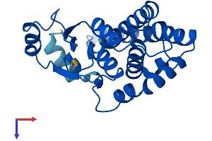 AlphaFold protein structure predicition of Mouse Recombinant Gsta1 Protein, UniprotID P13745