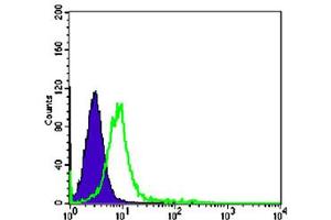 Flow cytometric analysis of K-562 cells using CHD3 monoclonal antibody, clone 2G4  (green) and negative control (purple). (CHD3 anticorps)