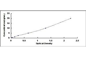 Typical standard curve (PLK2 Kit ELISA)