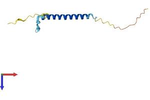 AlphaFold protein structure predicition of Mouse Recombinant D8Ertd738e Protein, UniprotID Q8R1F0