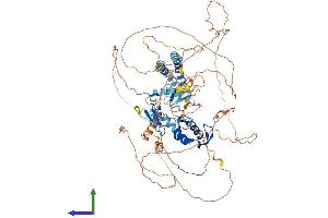 AlphaFold protein structure predicition of Human Recombinant RNF19A Protein, UniprotID Q9NV58