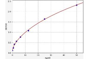 Typical standard curve (Peroxiredoxin 2 Kit ELISA)