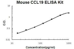 Mouse CCL19 PicoKine ELISA Kit standard curve
