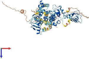 AlphaFold protein structure predicition of Mouse Recombinant Birc2 Protein, UniprotID Q62210