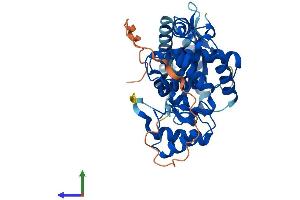 AlphaFold protein structure predicition of Human Recombinant OAS1 Protein, UniprotID P00973