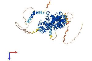 AlphaFold protein structure predicition of Human Recombinant PPP2R3B Protein, UniprotID Q9Y5P8