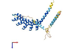 AlphaFold protein structure predicition of Human Recombinant ANKRD1 Protein, UniprotID Q15327