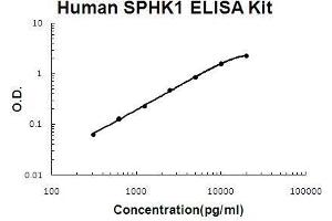 Human SPHK1 PicoKine ELISA Kit standard curve (SPHK1 Kit ELISA)