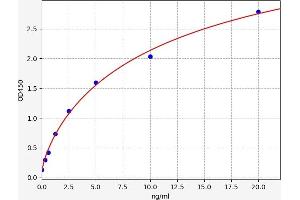 Typical standard curve (TLR5 Kit ELISA)