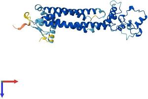 AlphaFold protein structure predicition of Human Recombinant PRPH2 Protein, UniprotID P23942