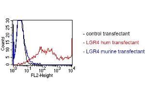FACS analysis of BOSC23 cells using BBX-1H1.