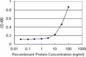 Sandwich ELISA detection sensitivity ranging from 10 ng/mL to 100 ng/mL. (MAGED1 (Humain) Matched Antibody Pair)