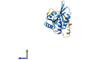 AlphaFold protein structure predicition of Human Recombinant APOBEC2 Protein, UniprotID Q9Y235