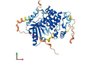 AlphaFold protein structure predicition of Mouse Recombinant Map2k2 Protein, UniprotID Q63932