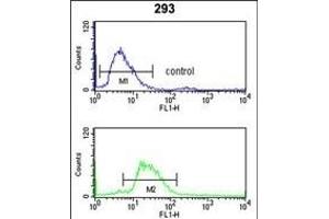 anti-Leucine-Rich alpha-2 Glycoprotein 1 (LRG1) (AA 194-223) antibody