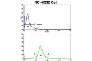 Flow Cytometry (FACS) image for anti-Kinesin Family Member 3C (KIF3C) antibody (ABIN3003233)