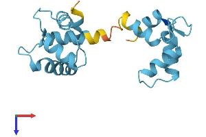 AlphaFold protein structure predicition of Human Recombinant TNNC1 Protein, UniprotID P63316