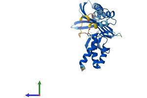 AlphaFold protein structure predicition of Mouse Recombinant Capza3 Protein, UniprotID P70190