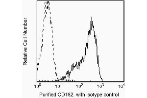 Profile of CD162 expressed on peripheral blood lymphocytes analyzed on a FACScan (BDIS, San Jose, CA) (SELPLG anticorps)