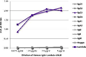 ELISA plate was coated with serially diluted Human IgG3 Lambda-UNLB and quantified. (Human IgG3 Isotype Control)